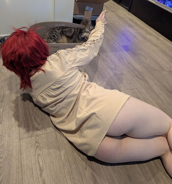 kitty_bit_games