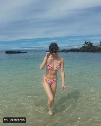 Lauren Donzis