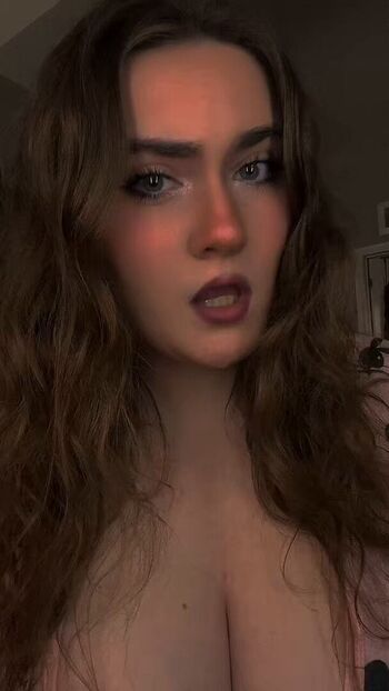 Vixenveexo